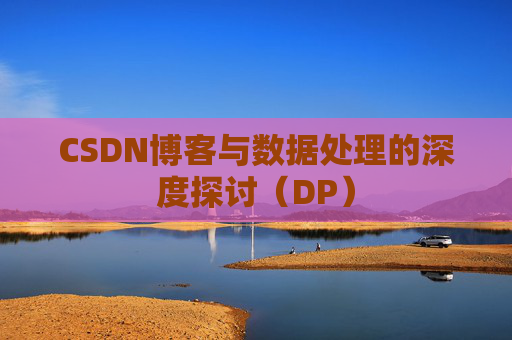 CSDN博客与数据处理的深度探讨（DP）